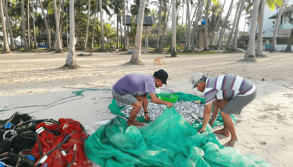 Mua Hải sản trực tiếp từ người d&acirc;n l&agrave;ng ch&agrave;i
